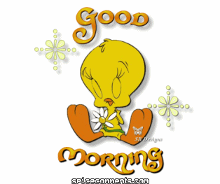 photo morgon2_zpse6f8157e.gif