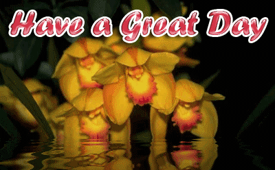 photo nice_day_0024_zps4a73b3d2.gif