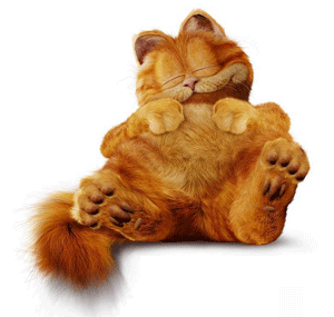 photo relaxaweekend-1.gif
