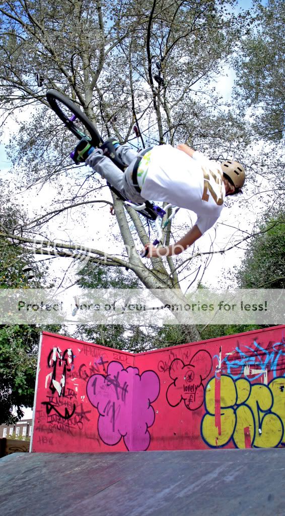 IMAGE: http://i703.photobucket.com/albums/ww39/mteague_album/IMG_2392-1-1.jpg