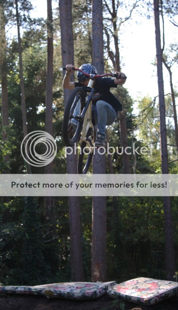 IMAGE: http://i703.photobucket.com/albums/ww39/mteague_album/IMG_2485.jpg