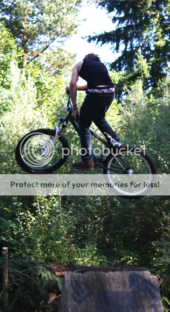 IMAGE: http://i703.photobucket.com/albums/ww39/mteague_album/IMG_2560.jpg