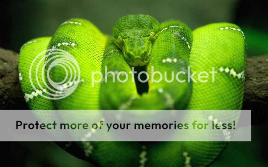 wallpaper_2169.jpg