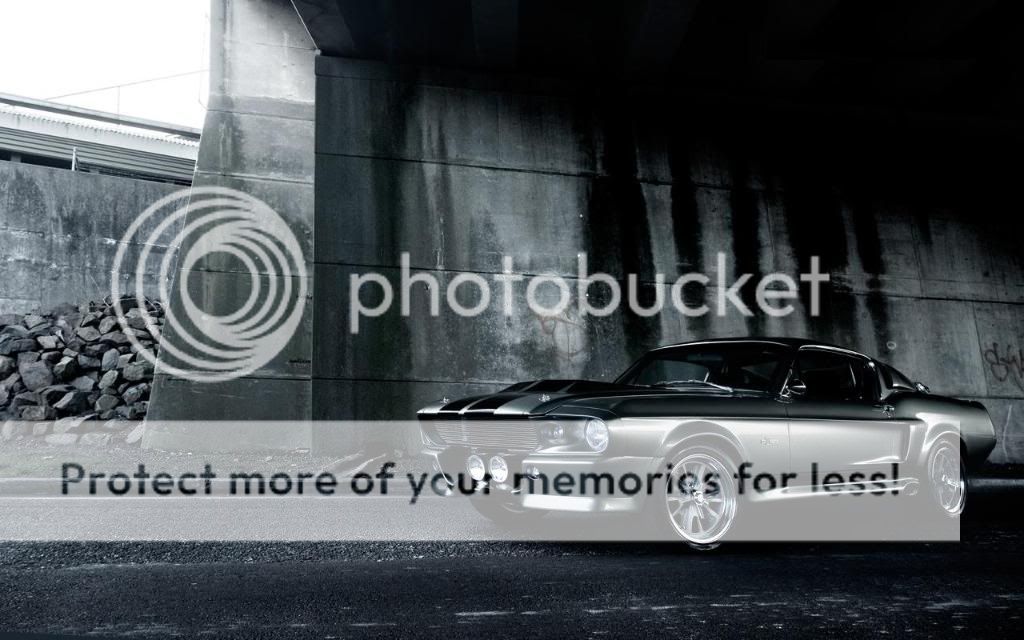 wallpaper_2448.jpg