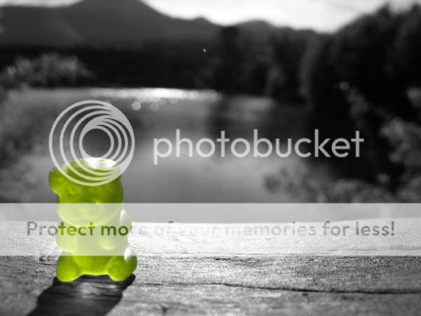 color splash Pictures, Images and Photos