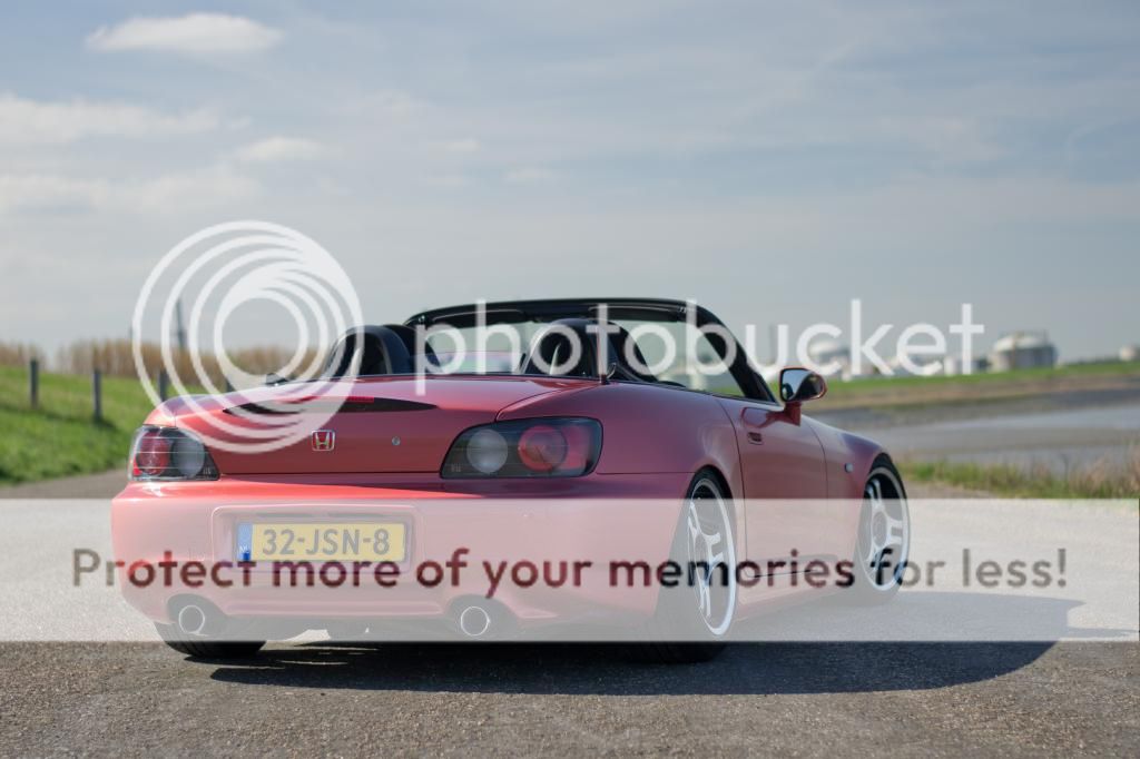 DSC_2813-2.jpg~original