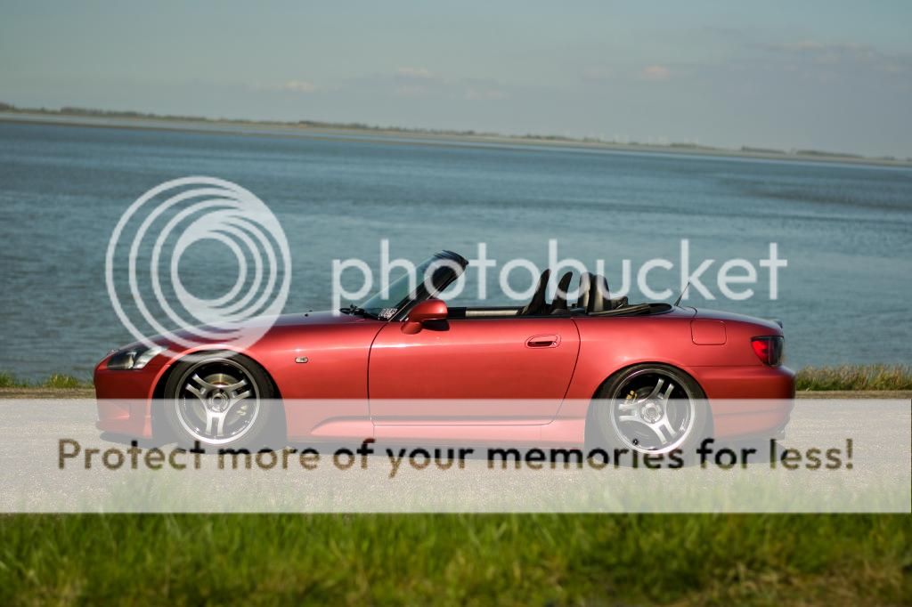 DSC_2828-2.jpg~original