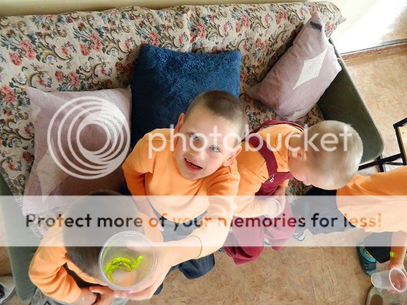 Photobucket
